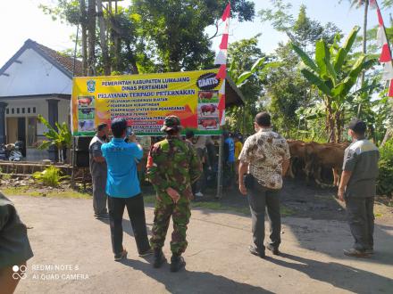Pelayanan IB, PKB dan Keswan gratis dari Dinas peternakan Kabupaten Lumajang